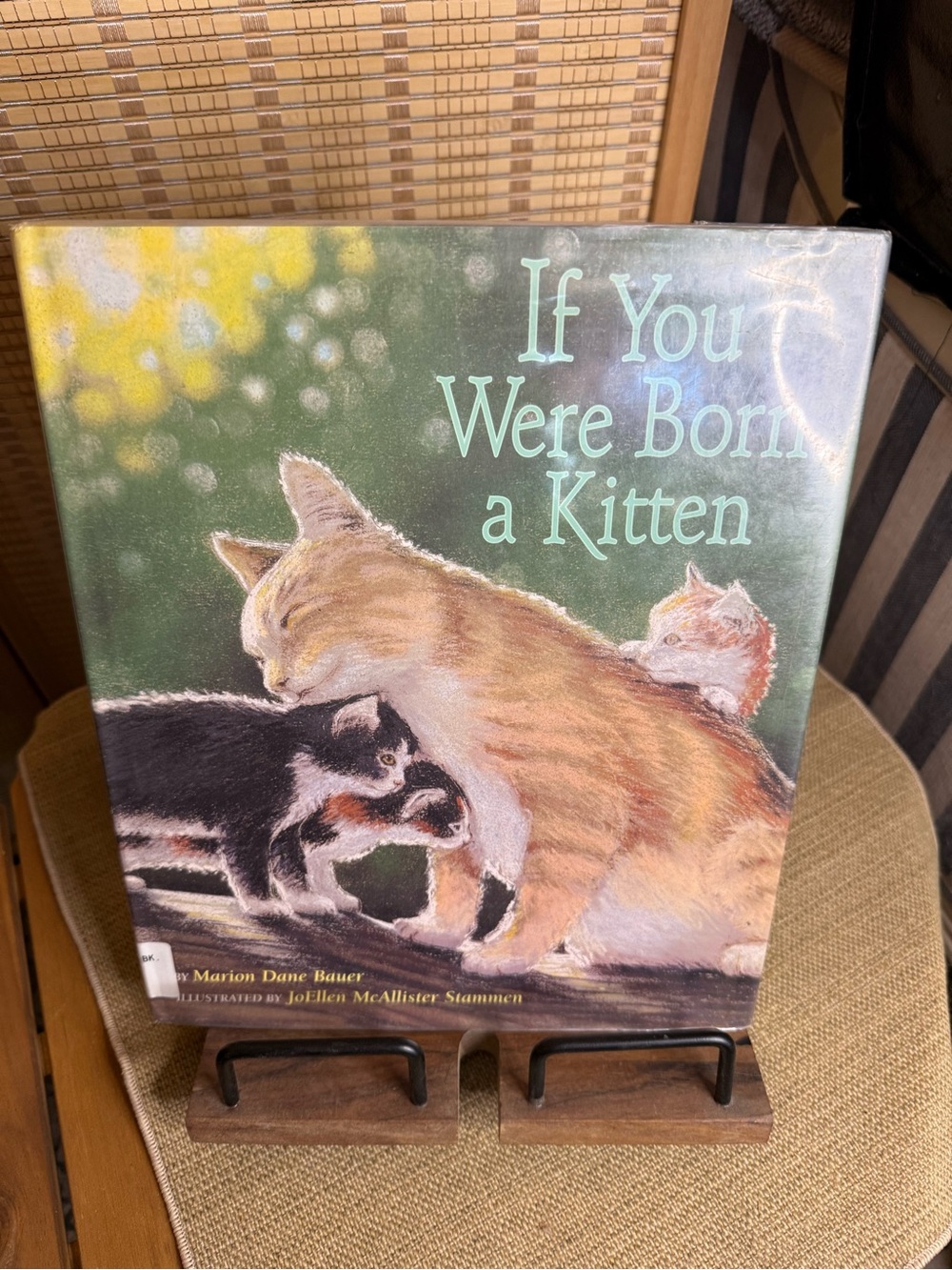 Vintage Children’s book If You Were Born a Kitten - Illustrated Book hardcover’s